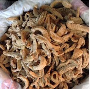 【無硫磺 天麻 【小】】價(jià)格_廠家_圖片 -