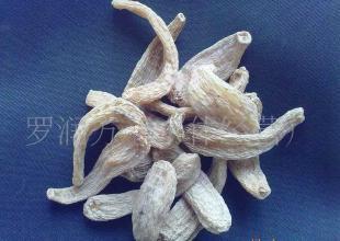 云南麗江天麻(目前接受預(yù)定,產(chǎn)期到可發(fā)貨)_醫(yī)藥、保養(yǎng)_世界工廠網(wǎng)中國(guó)產(chǎn)品信息庫(kù)