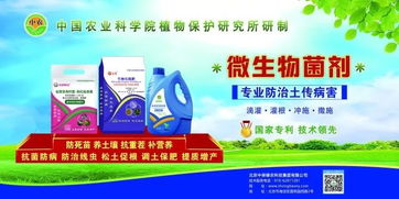 中國農科院植保所土傳病害防治專家助力中保集團微生物菌劑技術推廣